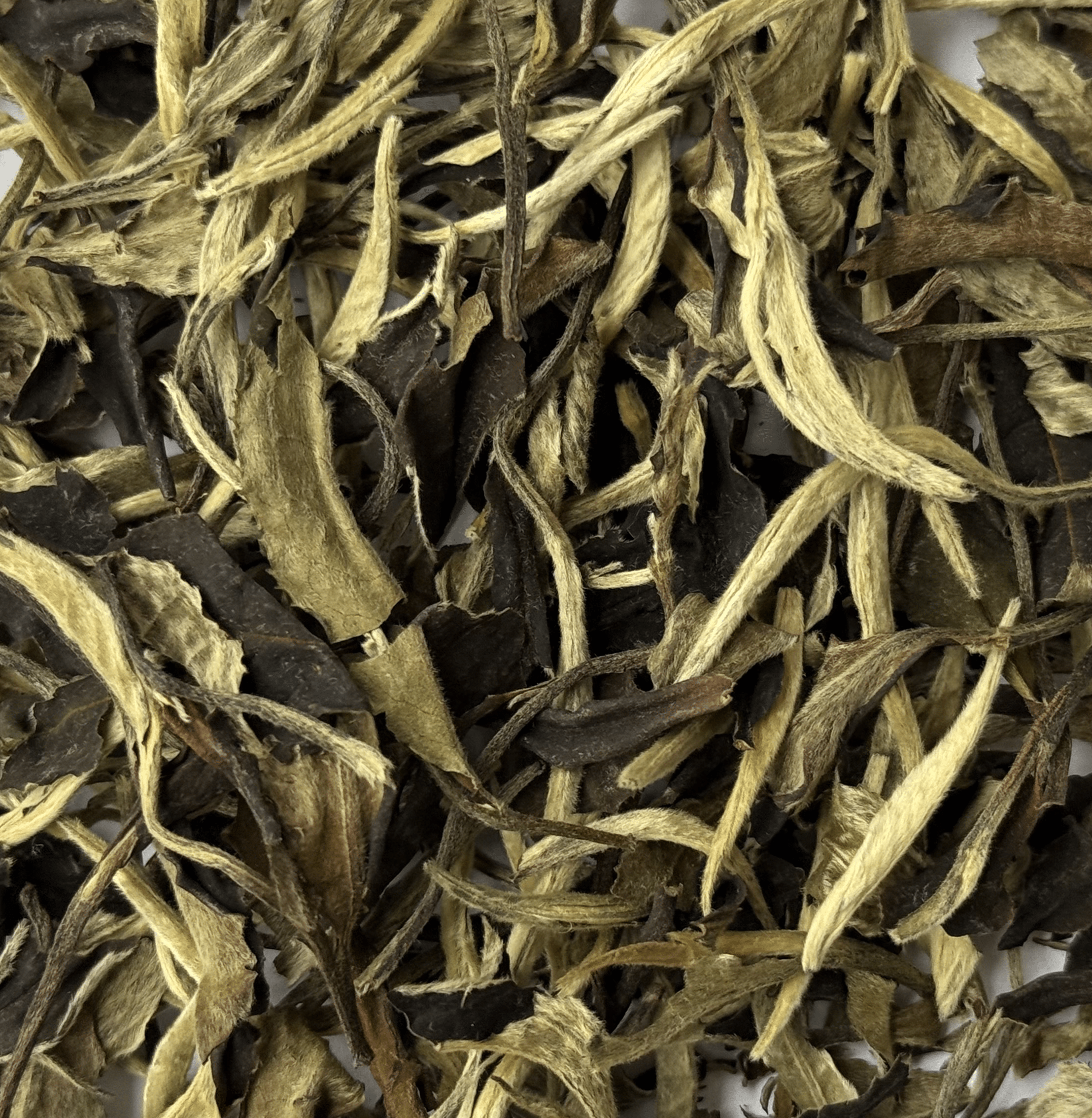 Herbata biała - Just Cha