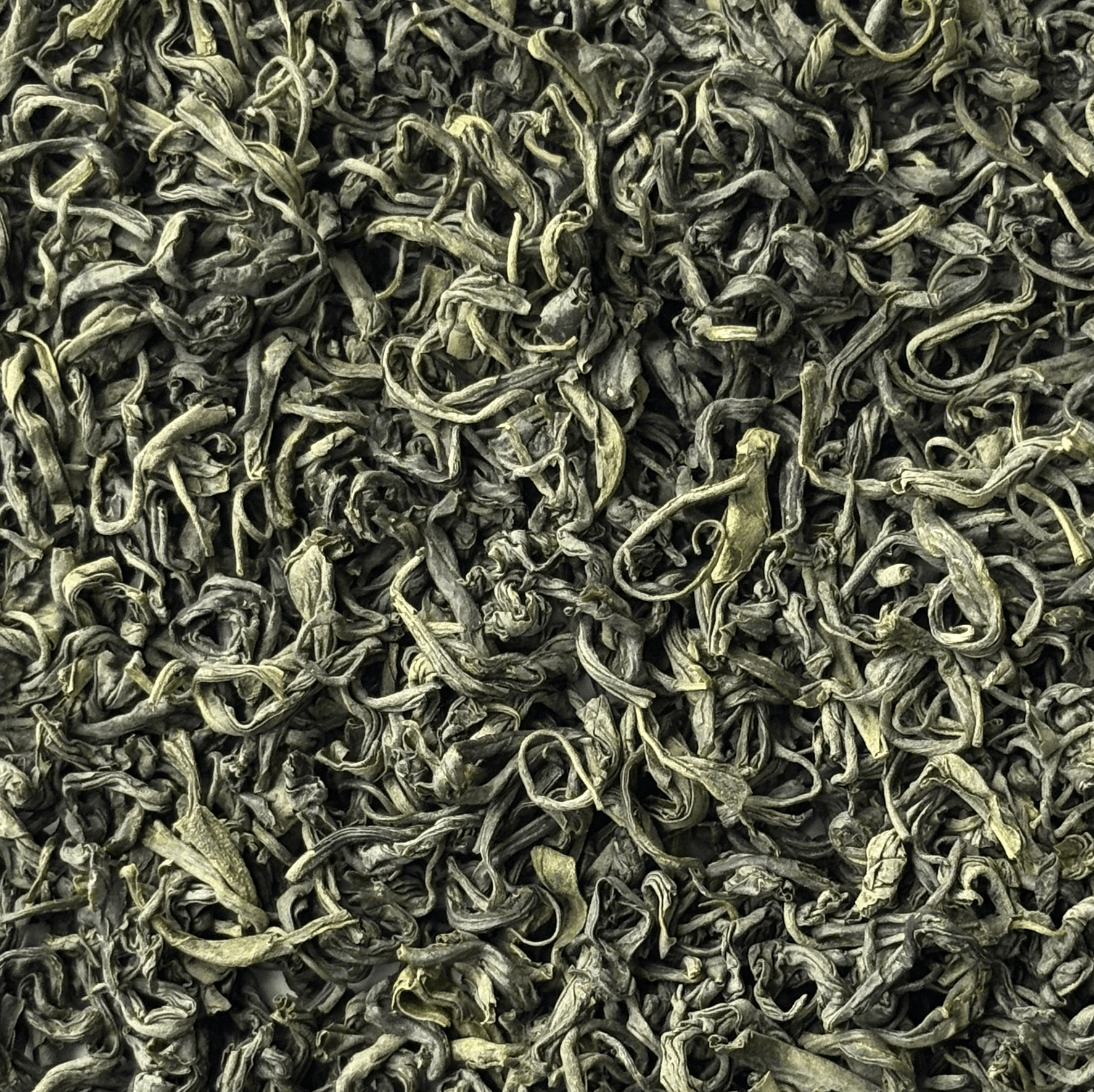 Mao Jian Ye Sheng - Just Cha